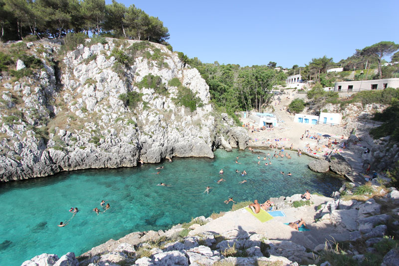 INSENATURA DELL' ACQUAVIVA